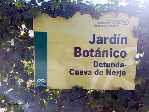 Botanical Garden Detunda W